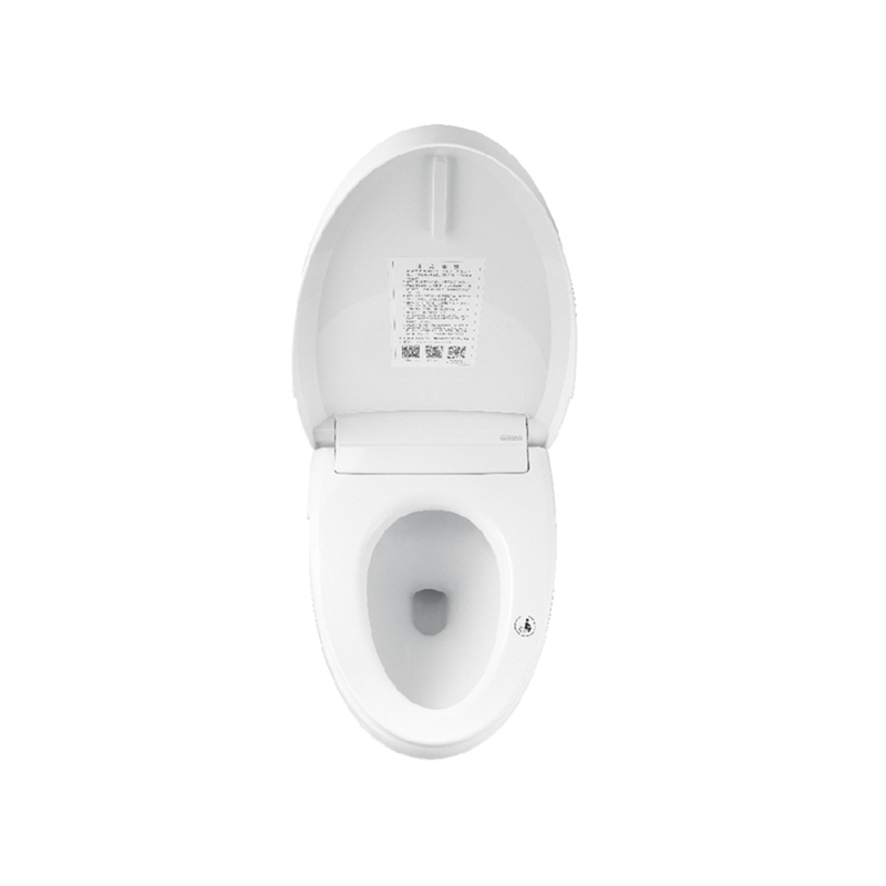 Economical Smart Toilet With Basic Intelligent Function