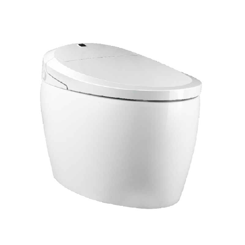 Economical Smart Toilet With Basic Intelligent Function