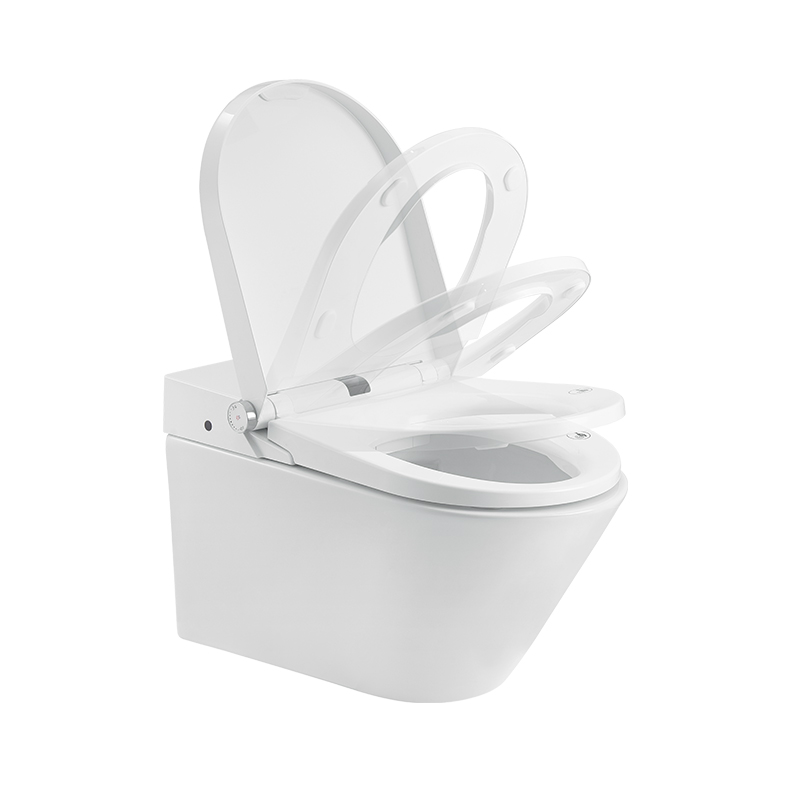 Leave Flushing Smart Toilet with Water Tank