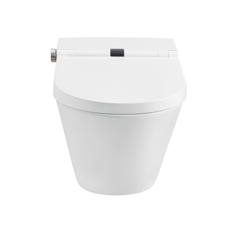 Leave Flushing Smart Toilet with Water Tank