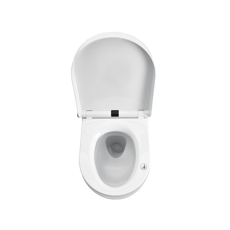 Leave Flushing Smart Toilet with Water Tank