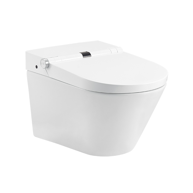 Leave Flushing Smart Toilet with Water Tank