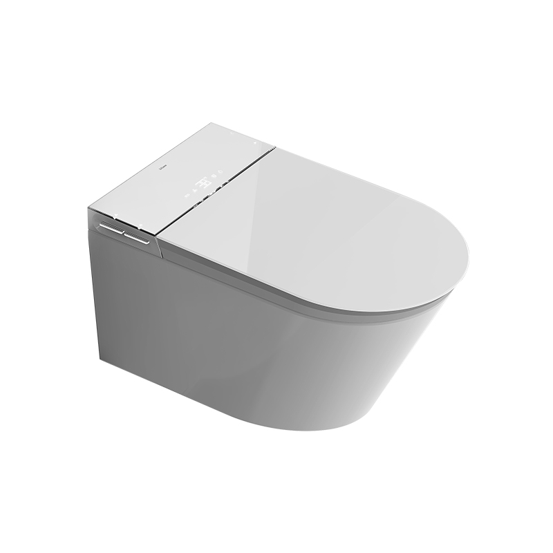 Wall-hang smart toilet